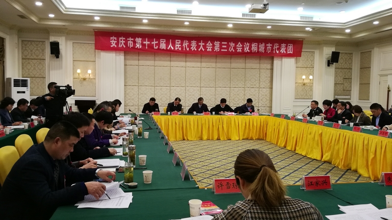 桐城代表团审议安庆市政府工作报告刘中汉主持会议